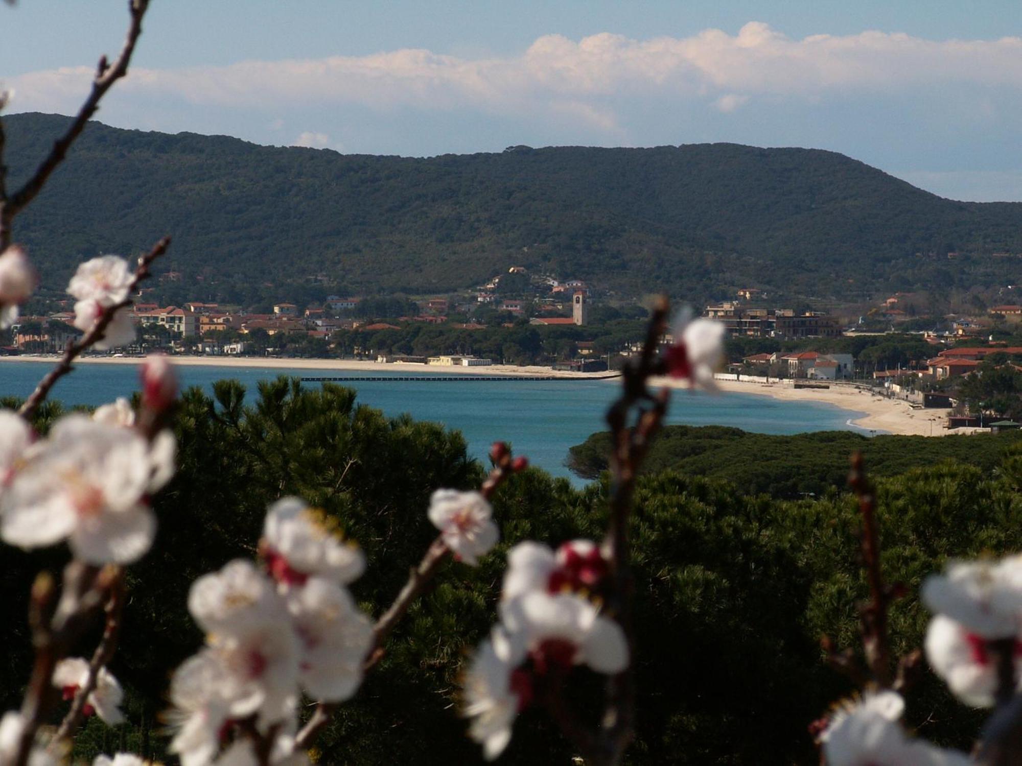 Hotel Santa Caterina Marina di Campo Extérieur photo